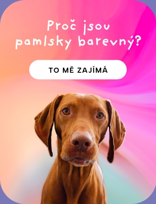Proc jsou pamlsky barevny